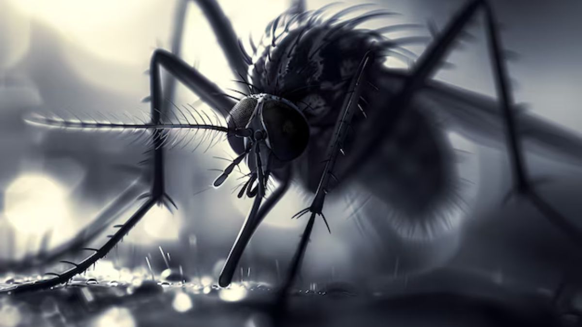 History of Malaria