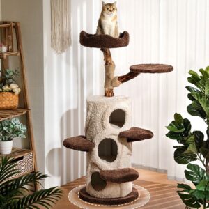 Why a Cat Tree is a Must for Family Homes