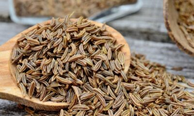 caraway seeds