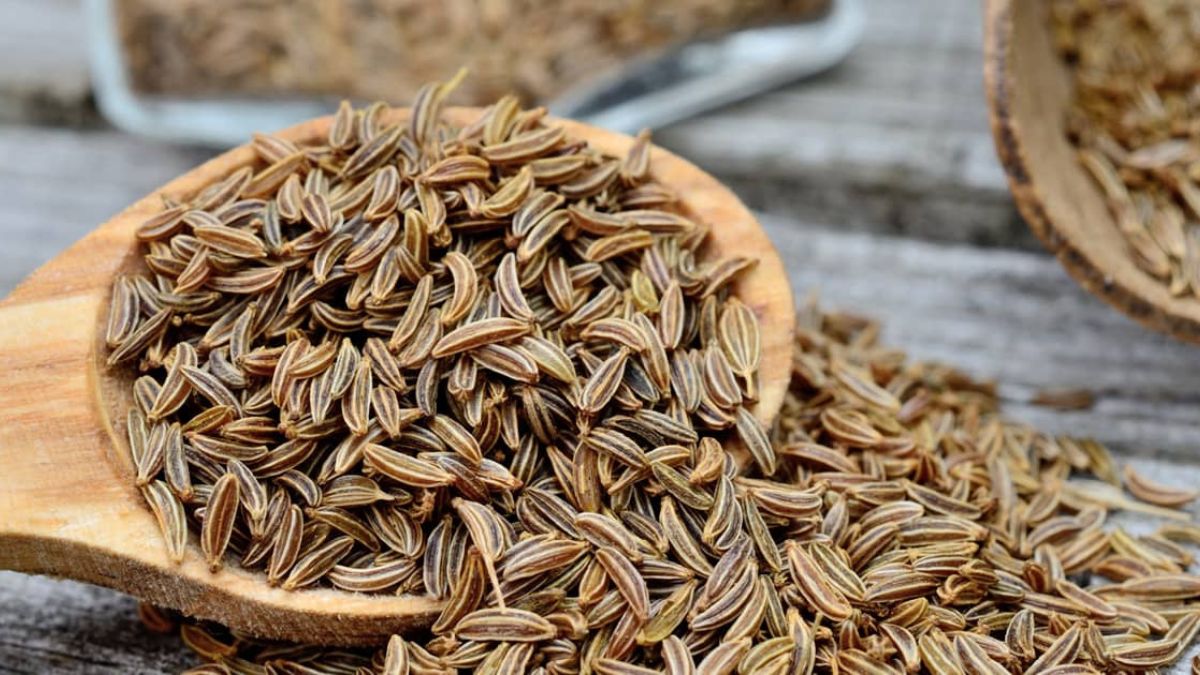 caraway seeds