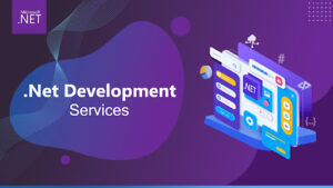 NET development services perfect for fintech apps