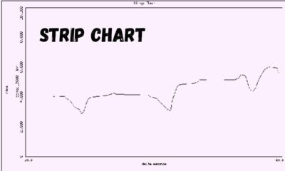 strip chart