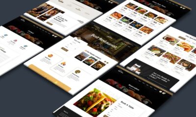 WordPress Design