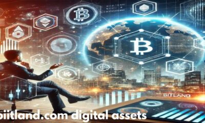 biitland.com digital assets