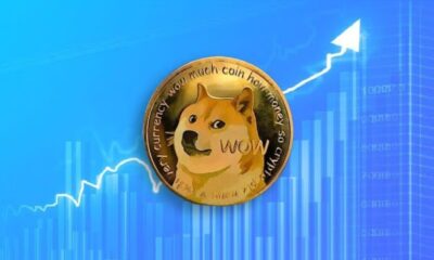 doge v4