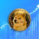 doge v4