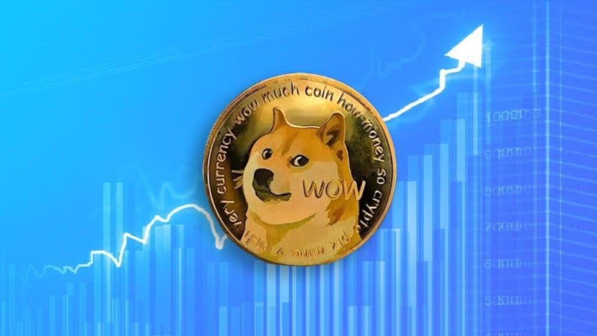 doge v4