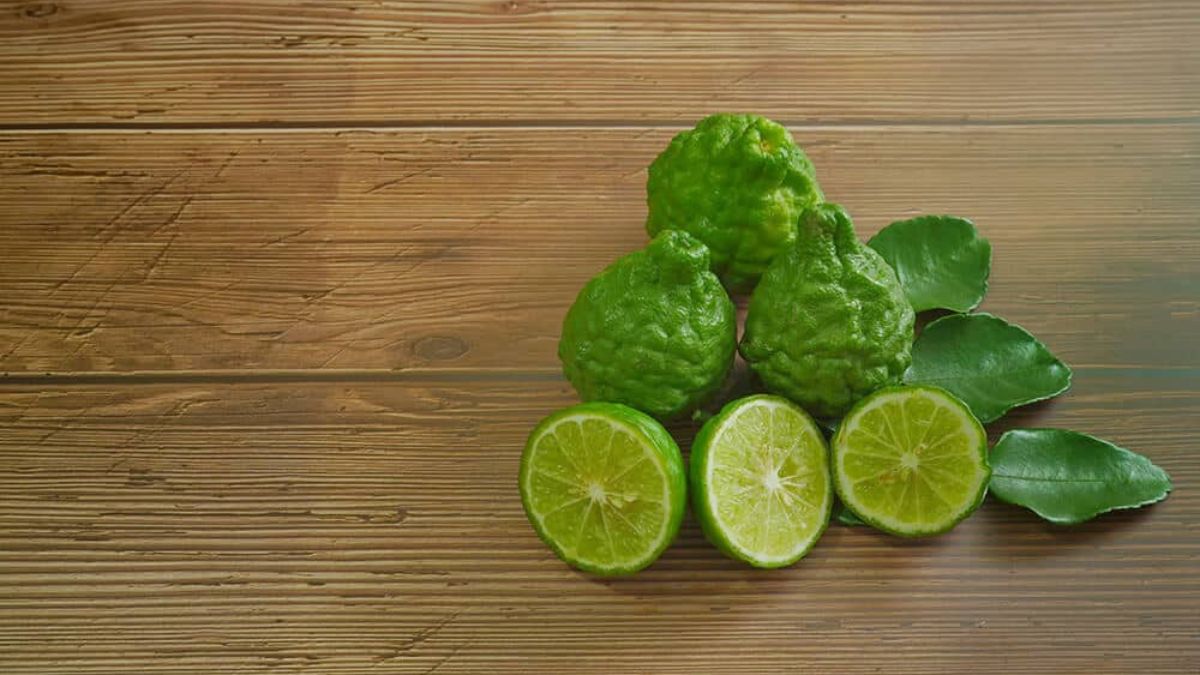 kaffir lime