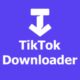 Download TikTok