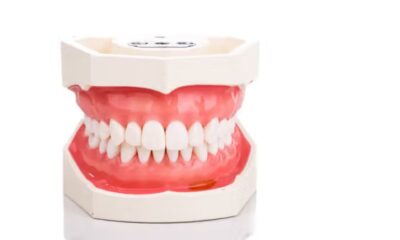 Teeth
