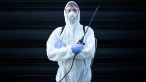 Evaluating Professional Services for Home Infestation Issues