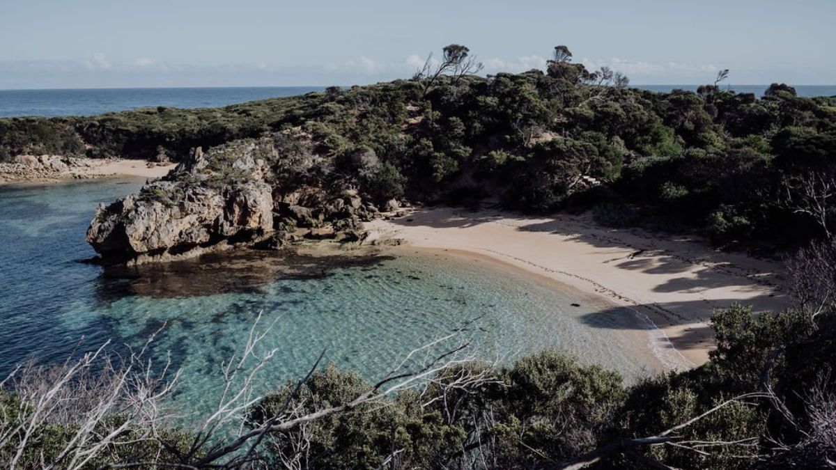 Flinders Island News