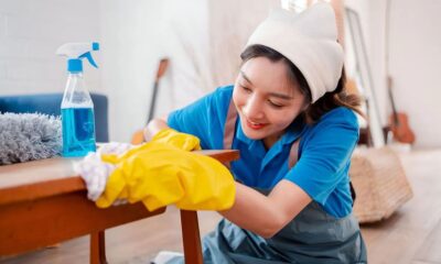 House Cleaning Services