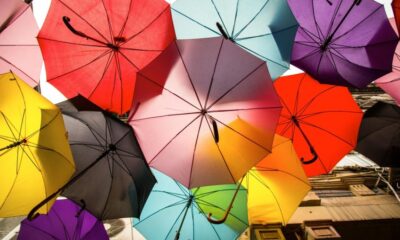 Income Protection Insurance