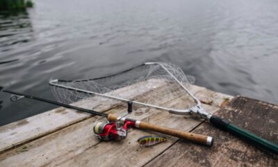 Travel Rod