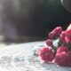 Wrongful Death Cases