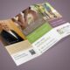 Brochure Printing