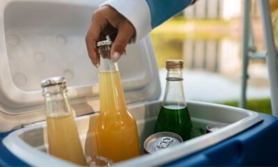 Car Fridge