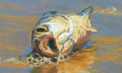 Rita Kirkman Art Fish