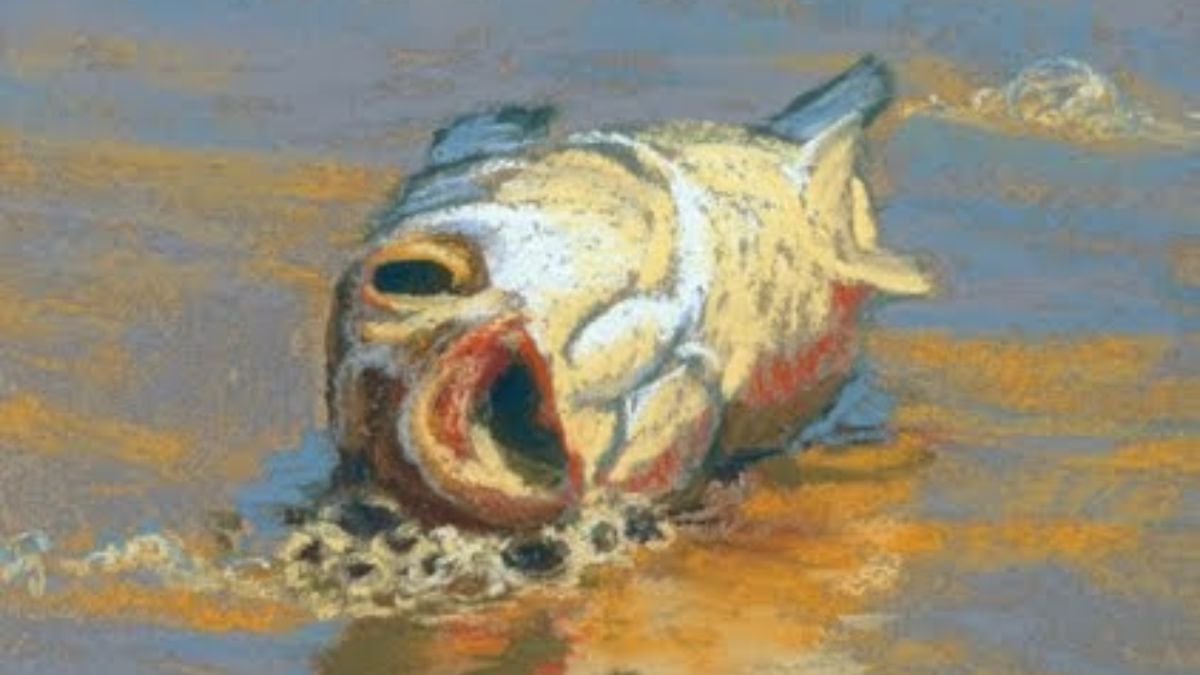 Rita Kirkman Art Fish