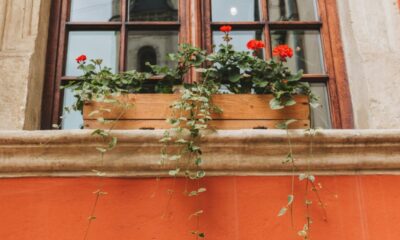Self-Watering Window Box Planters