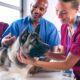 Veterinary Hospital