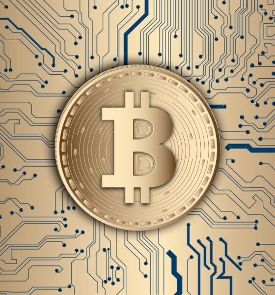 crypto30x.com news
