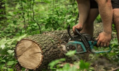 Arboriculture Services