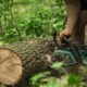 Arboriculture Services