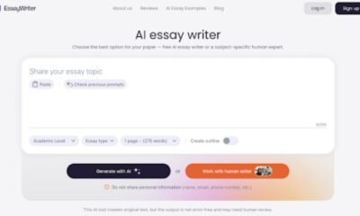 EssayWriter
