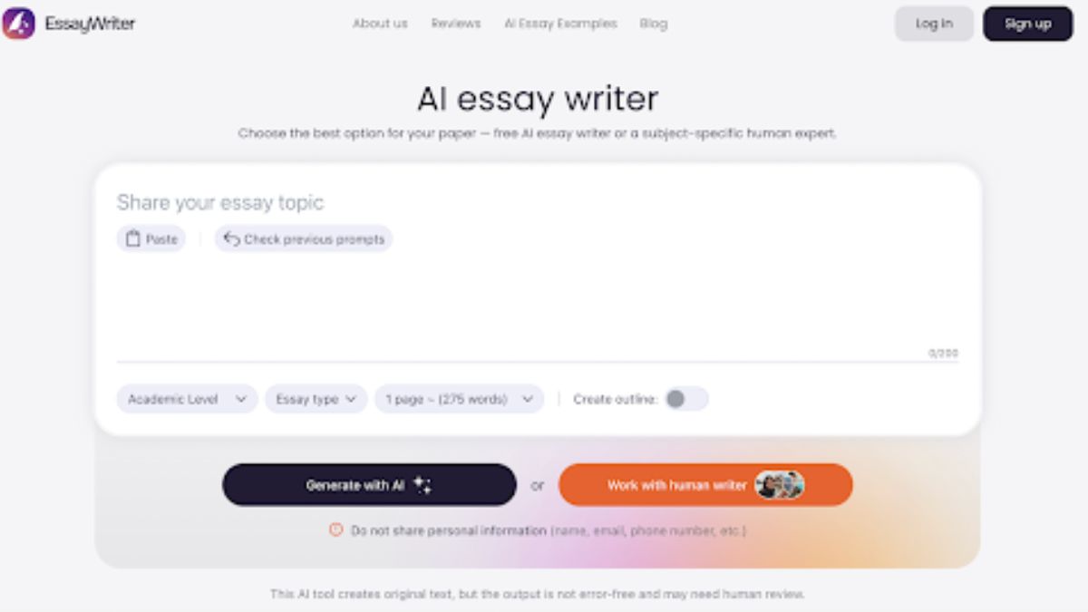 EssayWriter
