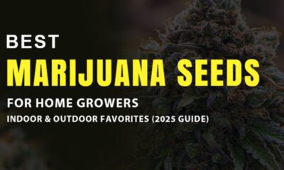 Marijuana Seeds for Home Growers (1)