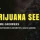 Marijuana Seeds for Home Growers (1)