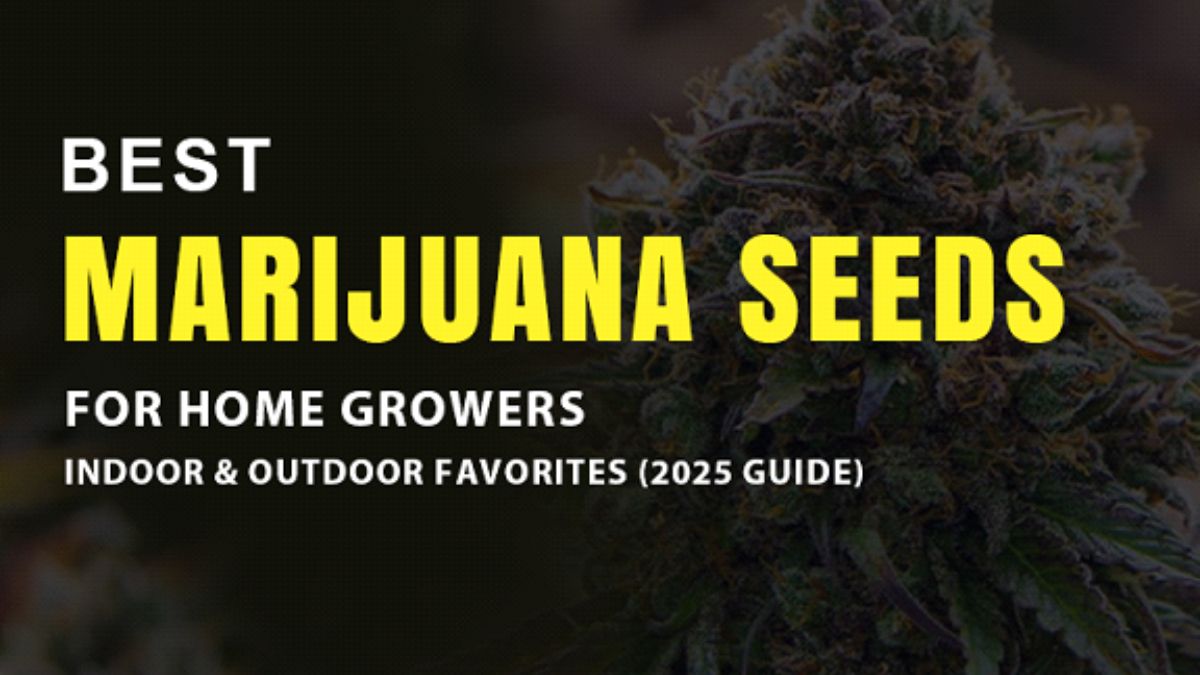 Marijuana Seeds for Home Growers (1)
