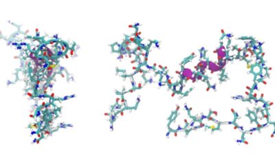 Peptides
