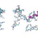 Peptides