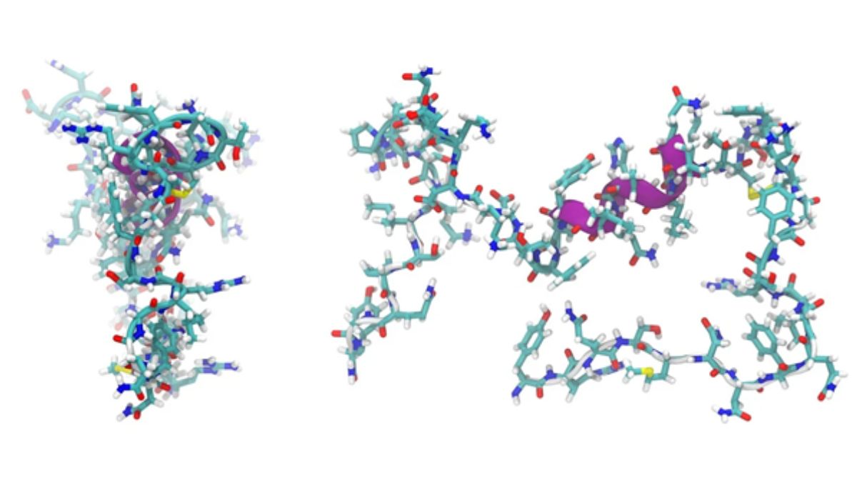 Peptides