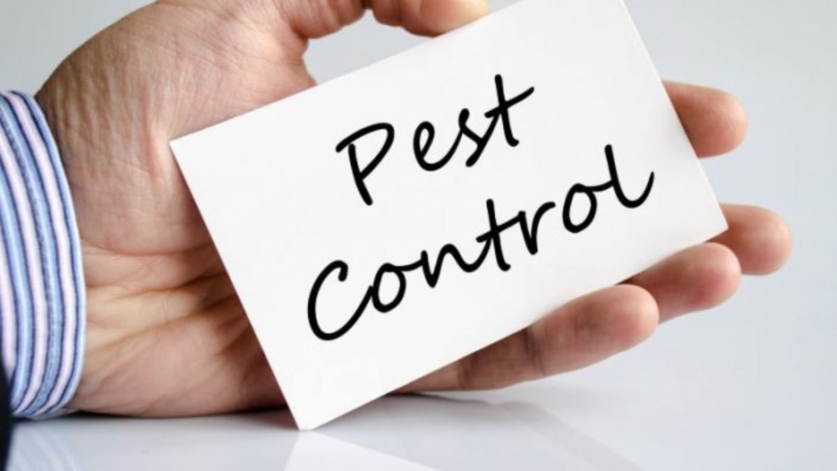 Pest Control