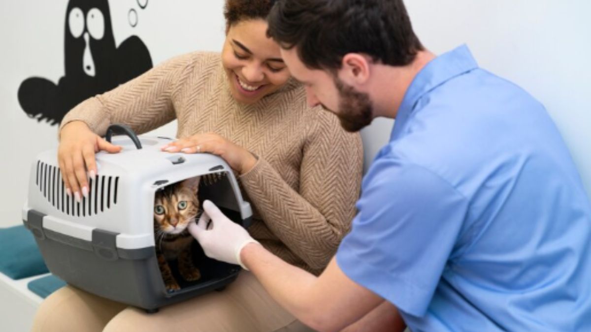 Pet Cremation