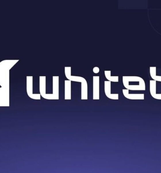WhiteBIT