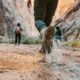 walking