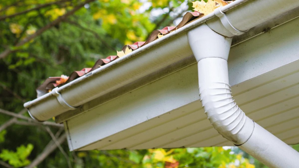 Roof Drainage