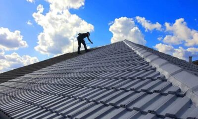 Roofing Expert