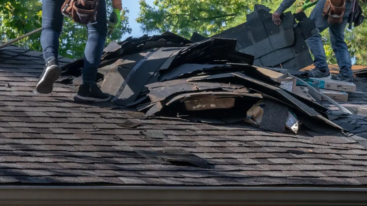 Storm Damage Restoration Company