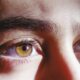 Vision
