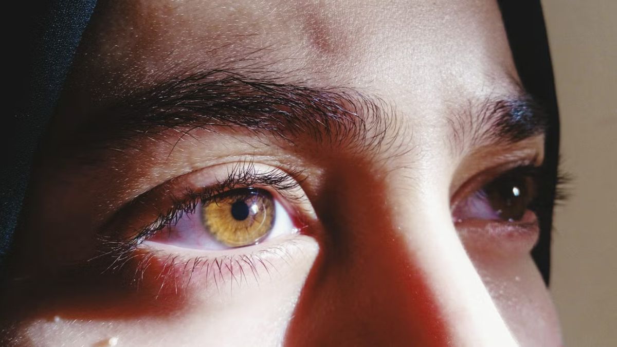 Vision