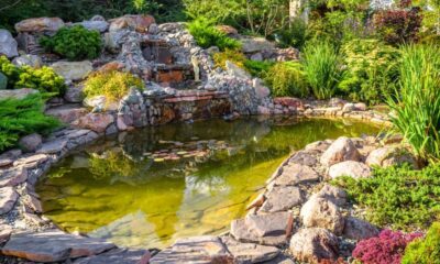 Water Features