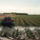 ag talk