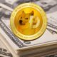 doge software licenses audit hud