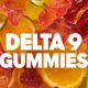 Delta 9 Gummies
